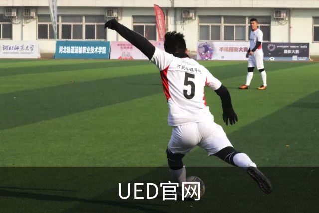 关于UED官网